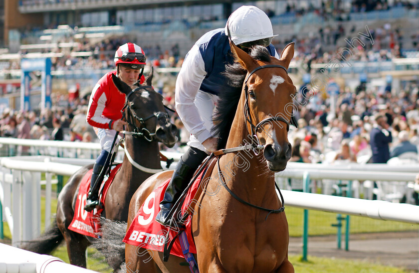 Miss-Tonnerre-0001 
 MISS TONNERRE (Tom Marquand)
Doncaster 12 Sep 20234 - Pic Steven Cargill / Racingfotos.com