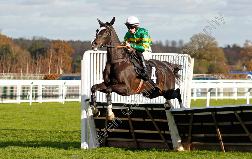 Milan-Tino-0001 
 MILAN TINO (M J M O'Sullivan)
Ascot 22 Nov 2024 - Pic Steven Cargill / Racingfotos.com