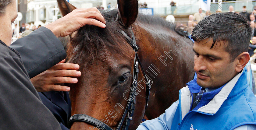 Pinatubo-0017 
 PINATUBO (William Buick) after The Darley Dewhurst Stakes
Newmarket 12 Oct 2019 - Pic Steven Cargill / Racingfotos.com