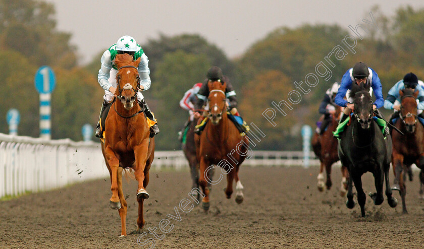 Glendevon-0008 
 GLENDEVON (Jamie Spencer) wins The 32Red British Stallion Studs EBF Novice Stakes Kempton 11 Oct 2017 - Pic Steven Cargill / Racingfotos.com