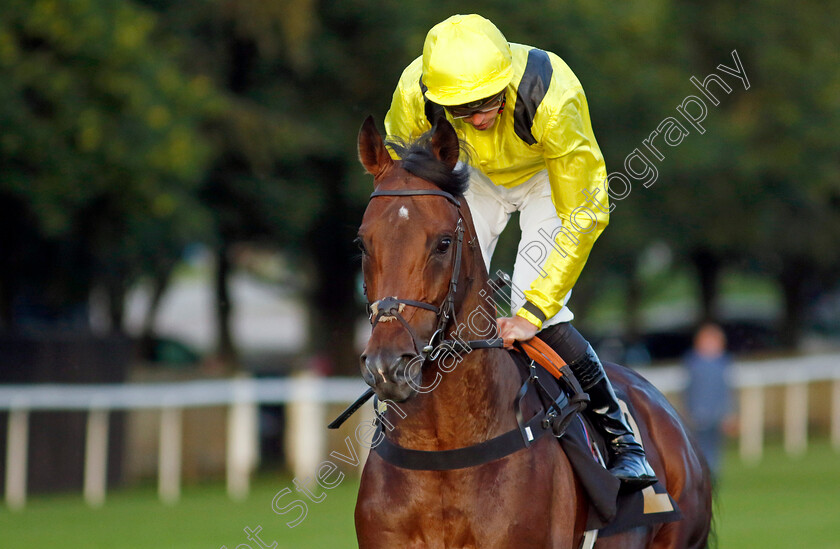 Terwada-0010 
 TERWADA (James Doyle) winner of The Every Race Live On Racing TV Handicap
Newmarket 28 Jul 2023 - Pic Steven Cargill / Racingfotos.com