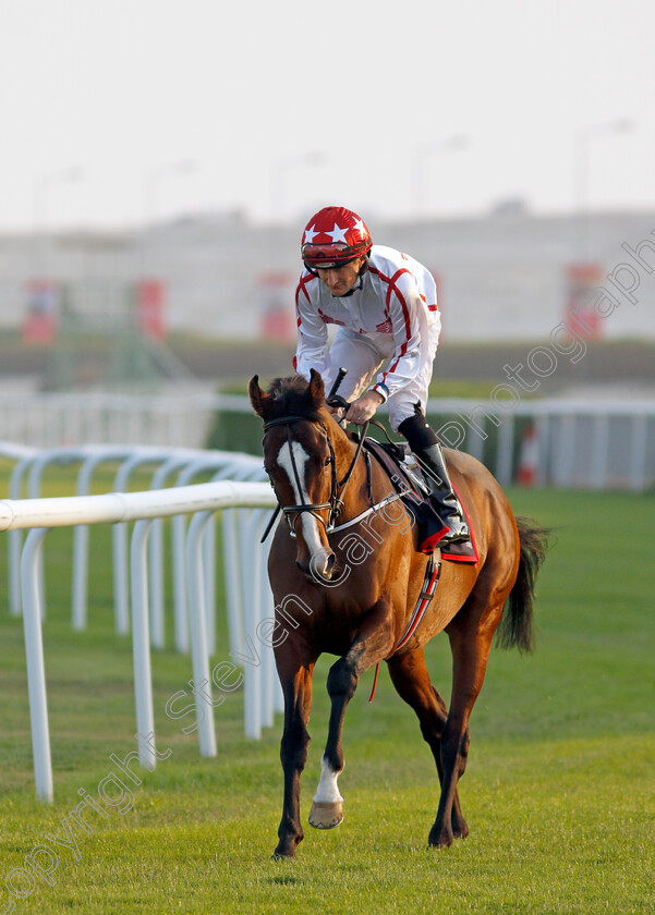 Cadillac-0002 
 CADILLAC (Shane Foley)
Sakhir Racecourse, Bahrain 19 Nov 2021 - Pic Steven Cargill / Racingfotos.com