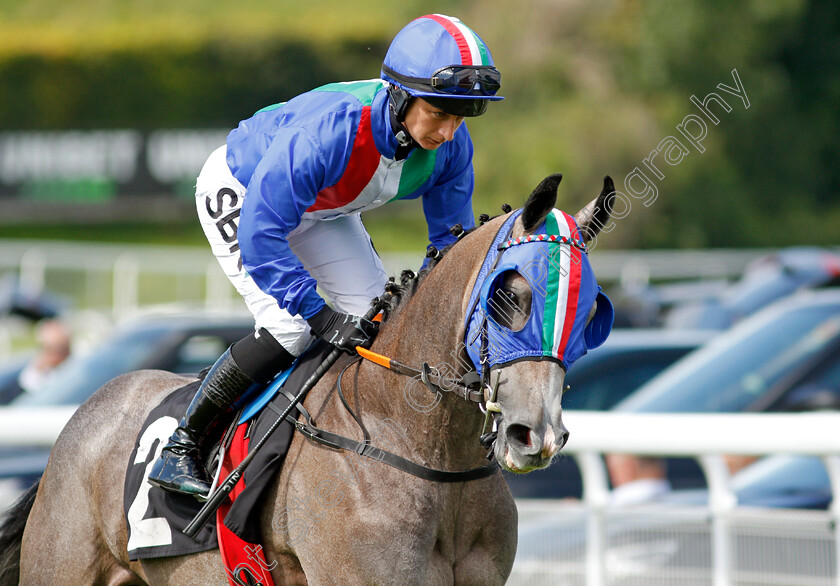 Ye-Gud-Thing-0002 
 YE GUD THING (Nicola Currie)
Goodwood 28 Aug 2021 - Pic Steven Cargill / Racingfotos.com