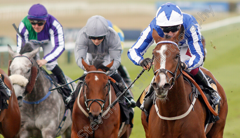 Chil-Chil-0001 
 CHIL CHIL (Oisin Murphy) wins The British EBF Premier Fillies Handicap
Newmarket 26 Sep 2019 - Pic Steven Cargill / Racingfotos.com