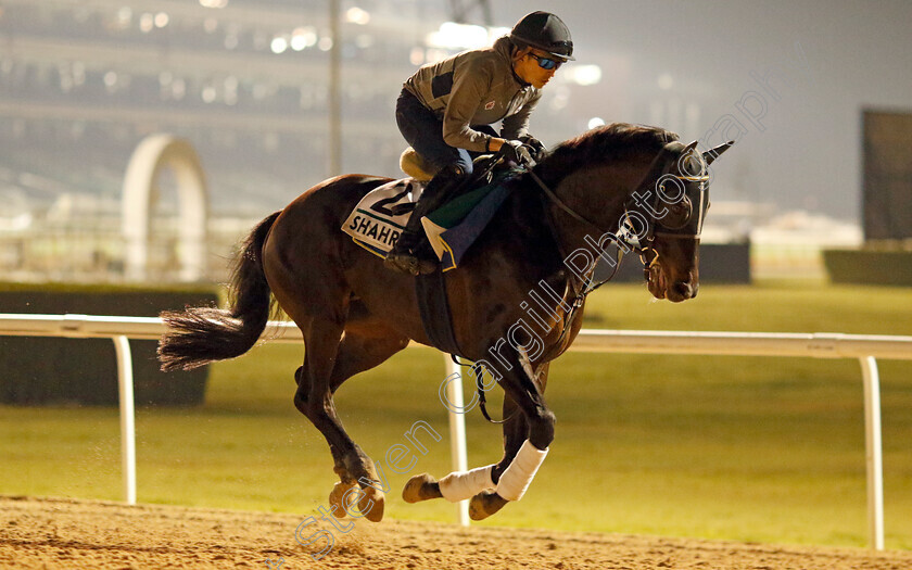 Shahryar-0002 
 SHAHRYAR training for the Sheema Classic
Meydan, Dubai, 21 Mar 2023 - Pic Steven Cargill / Racingfotos.com