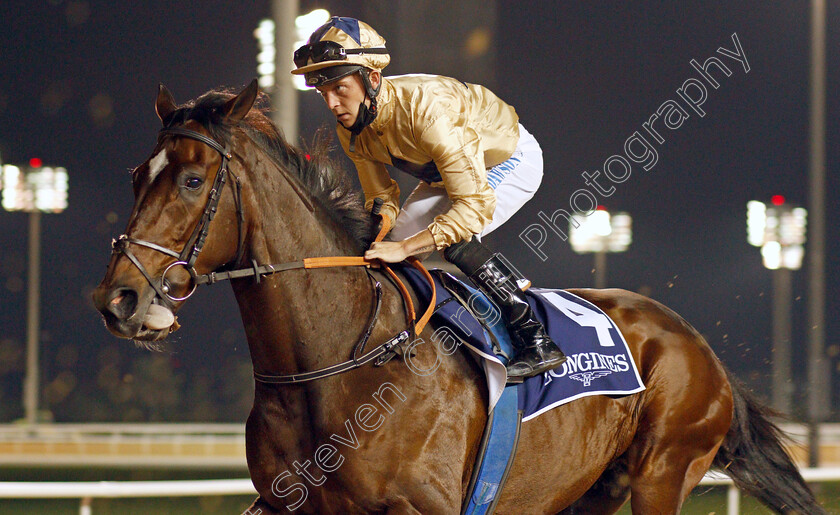 New-Trails 
 NEW TRAILS (Ray Dawson)
Meydan 4 Feb 2022 - Pic Steven Cargill / Racingfotos.com