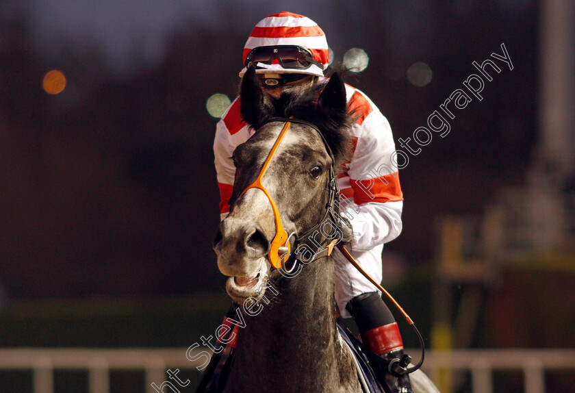 What-An-Angel-0001 
 WHAT AN ANGEL (Ben Curtis)
Wolverhampton 20 Jan 2020 - Pic Steven Cargill / Racingfotos.com