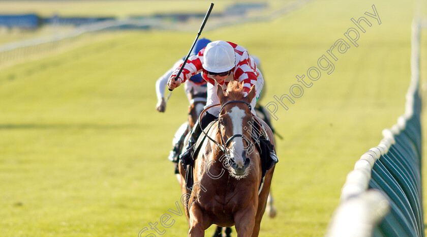 Rhebus-Road-0005 
 RHEBUS ROAD (Jane Elliott) wins The Newmarket Challenge Whip
Newmarket 23 Sep 2021 - Pic Steven Cargill / Racingfotos.com