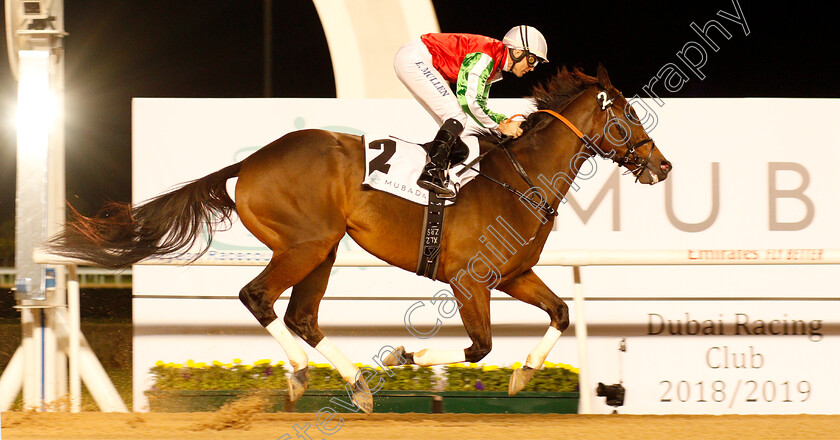 North-America-0008 
 NORTH AMERICA (Richard Mullen) wins The Al Maktoum Challenge (Round 1)
Meydan 10 Jan 2019 - Pic Steven Cargill / Racingfotos.com