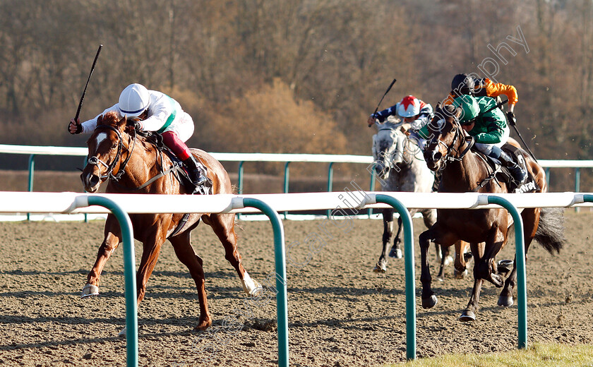 Wissahickon-0007 
 WISSAHICKON (Frankie Dettori) beats COURT HOUSE (right) in The Betway Winter Derby Stakes
Lingfield 23 Feb 2019 - Pic Steven Cargill / Racingfotos.com