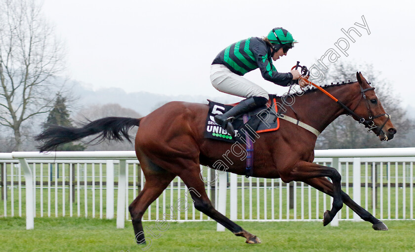 Seddon-0001 
 SEDDON (Ben Harvey)
Cheltenham 13 Dec 2024 - Pic Steven Cargill / Racingfotos.com