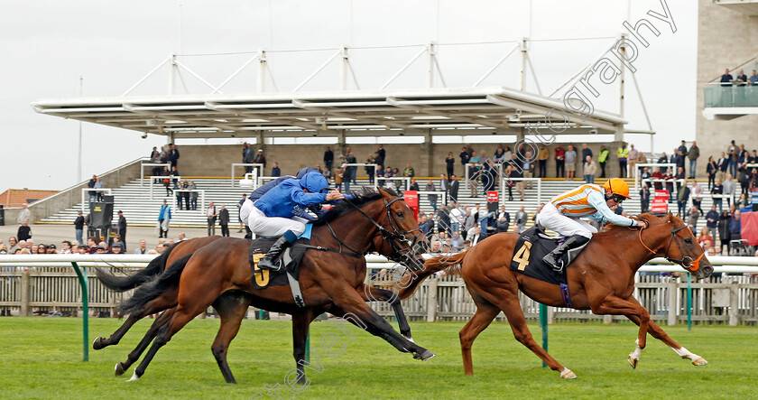 Stormy-Waves-0004 
 STORMY WAVES (left, William Buick) beats THE CAMDEN COLT (right) in The Federation Of Bloodstock Agents Nursery
Newmarket 28 Sep 2023 - Pic Steven Cargill / Racingfotos.com