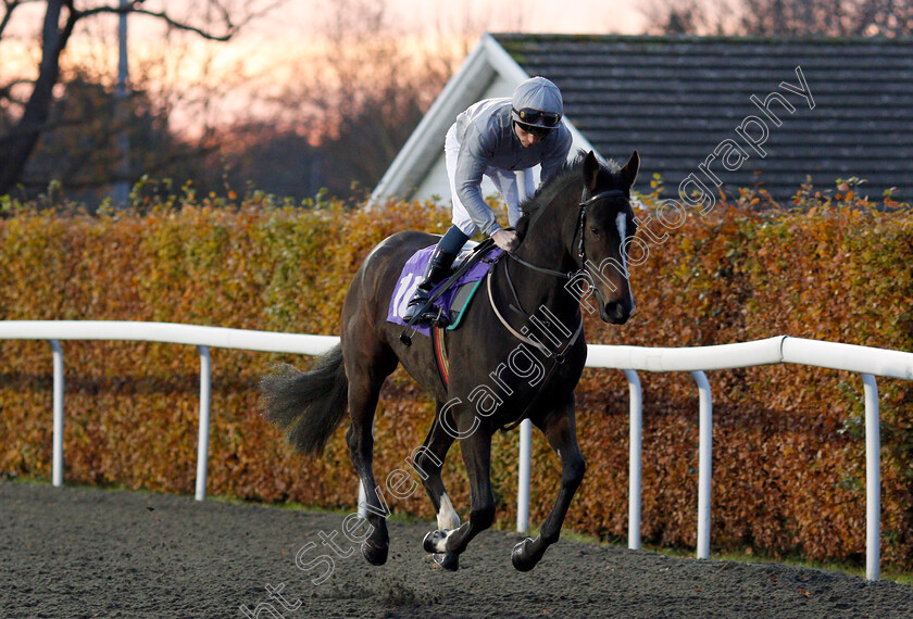 Secret-Diary-0001 
 SECRET DIARY (Kieran Shoemark)
Kempton 20 Nov 2019 - Pic Steven Cargill / Racingfotos.com