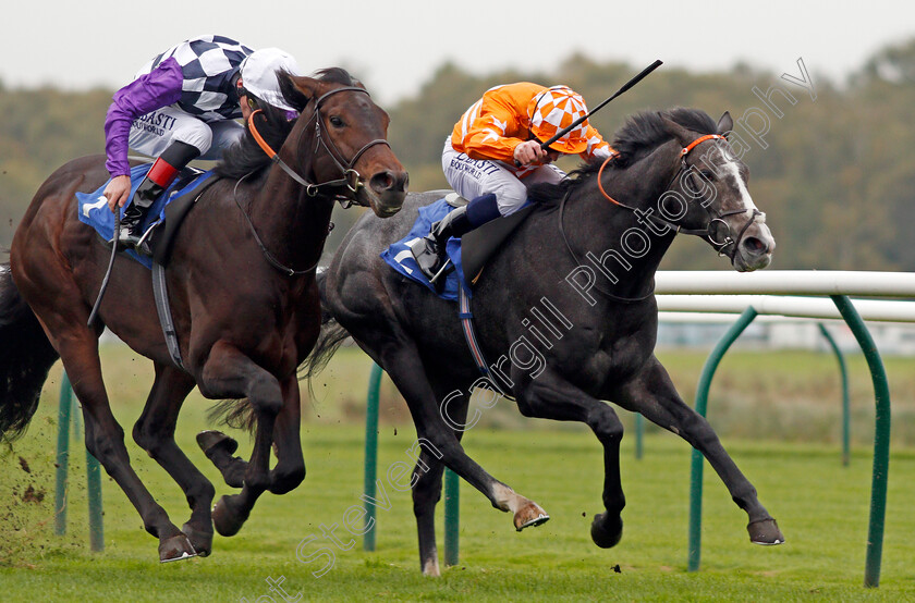 Blazing-Tunder-0008 
 BLAZING TUNDER (Dane O'Neill) beats ASTROLOGIST (left) in The Kier Construction EBF Maiden Stakes Div2 Nottingham 18 Oct 2017 - Pic Steven Cargill / Racingfotos.com