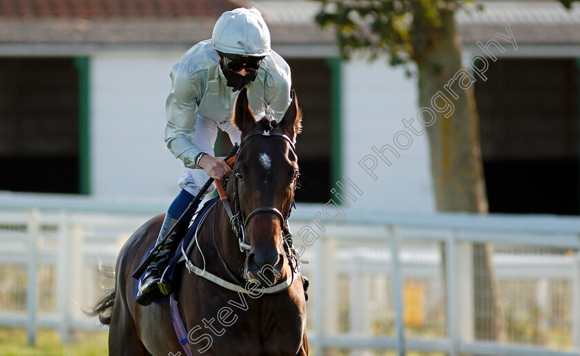 Forest-Falcon-0001 
 FOREST FALCON (William Buick) before winning The British Stallion Studs EBF Novice Stakes
Yarmouth 17 Sep 2020 - Pic Steven Cargill / Racingfotos.com