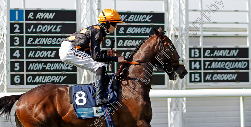 Popov-0002 
 POPOV (Sean Dylan Bowen)
Goodwood 30 Jul 2024 - Pic Steven Cargill / Racingfotos.com