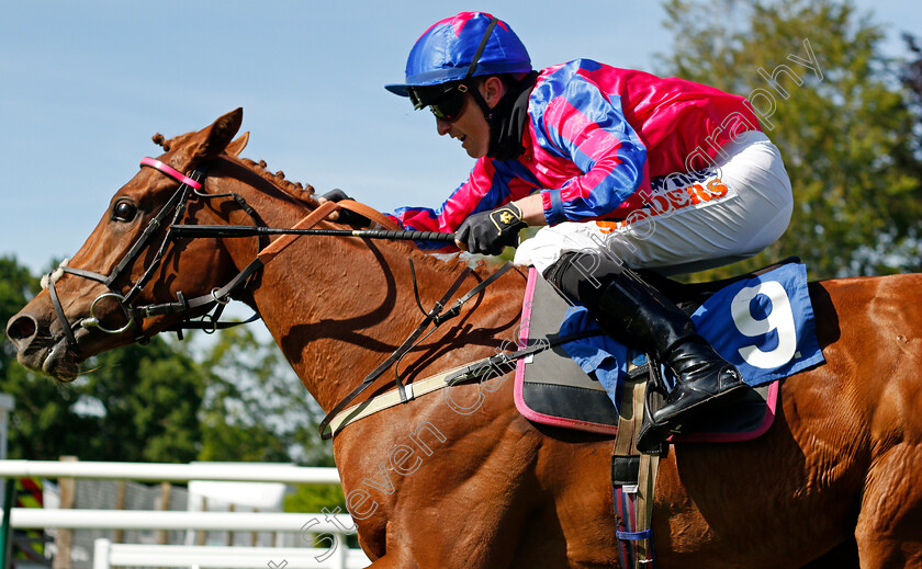 Decora-0004 
 DECORA (Trevor Whelan) wins The Follow @mansionbet Handicap
Salisbury 8 Jun 2021 - Pic Steven Cargill / Racingfotos.com