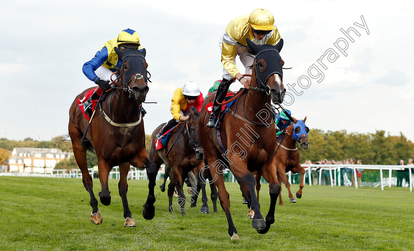 Arabian-Jazz-0002 
 ARABIAN JAZZ (right, James Doyle) beats NARJES (left) in The 188bet Extra Place Races Fillies Handicap
Sandown 31 Aug 2018 - Pic Steven Cargill / Racingfotos.com