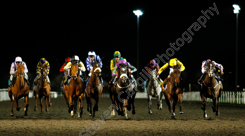 Little-Palaver-and-Mont-Kiara-0002 
 LITTLE PALAVER (2nd left, Amelia Glass) dead-heats with MONT KIARA (2nd right) ahead of TREACHEROUS (right) and SOAR ABOVE (centre) in The 32Red Casino Handicap
Kempton 16 Jan 2019 - Pic Steven Cargill / Racingfotos.com