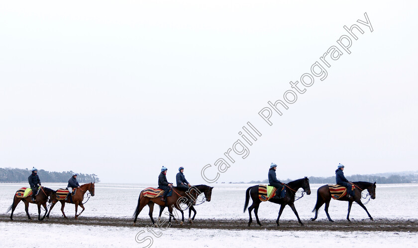 Newmarket-Snow-0007 
 Racehorses training in the snow at Newmarket
1 Feb 2019 - Pic Steven Cargill / Racingfotos.com