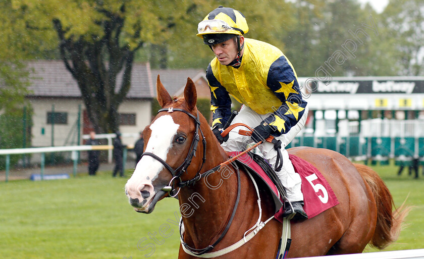 Nordano-0001 
 NORDANO (Franny Norton)
Haydock 27 Apr 2019 - Pic Steven Cargill / Racingfotos.com