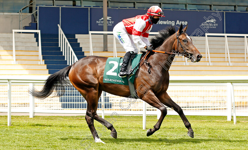 Cuban-Breeze-0001 
 CUBAN BREEZE (Jane Elliott)
Newbury 19 Jul 2020 - Pic Steven Cargill / Racingfotos.com