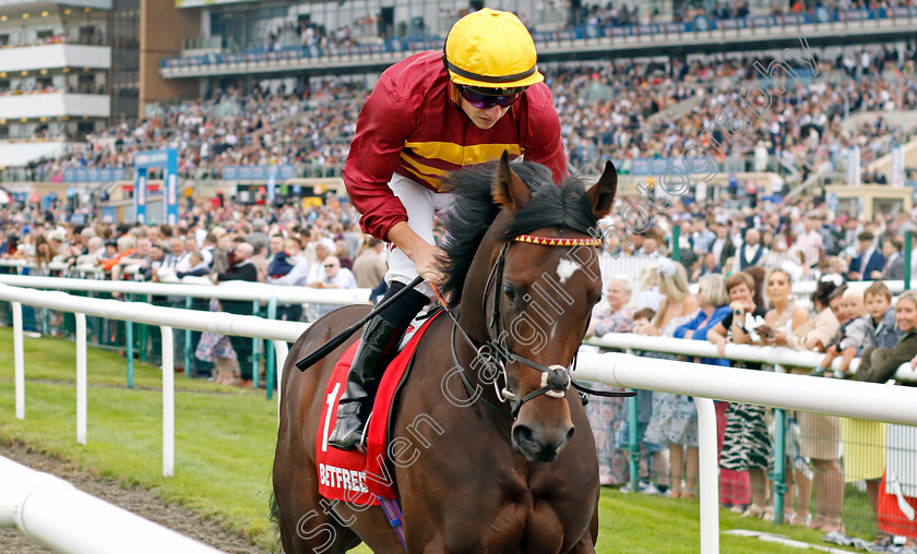 Iberian-0006 
 IBERIAN (Tom Marquand) winner of The Betfred Champagne Stakes
Doncaster 16 Sep 2023 - Pic Steven Cargill / Racingfotos.com