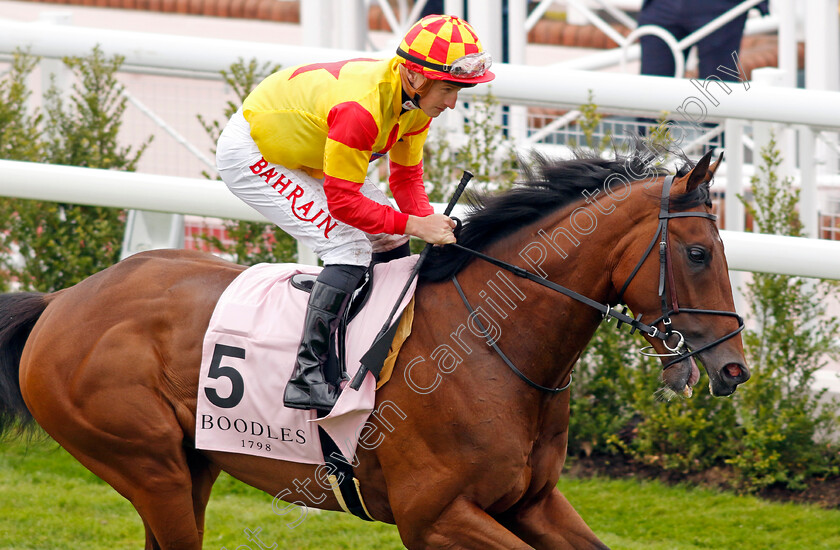 Savvy-Victory 
 SAVVY VICTORY (Tom Marquand)
Chester 4 May 2022 - Pic Steven Cargill / Racingfotos.com