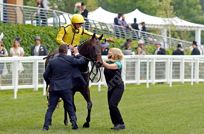 Perfect-Power-0012 
 PERFECT POWER (Paul Hanagan) after The Norfolk Stakes
Royal Ascot 17 Jun 2021 - Pic Steven Cargill / Racingfotos.com