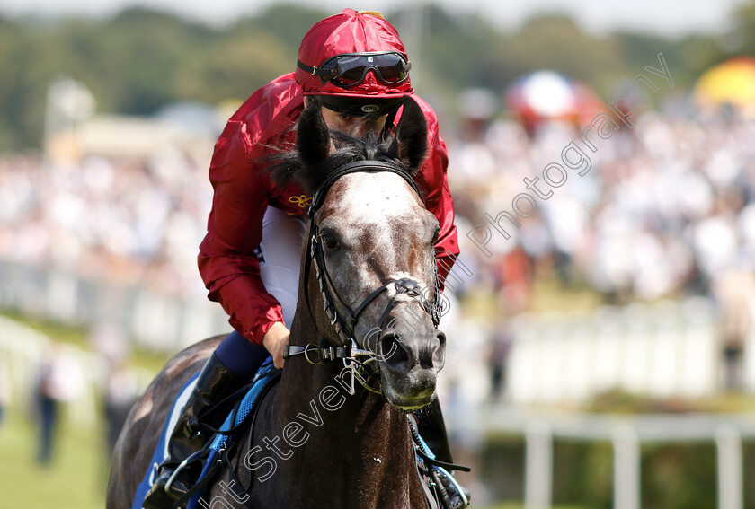 Roaring-Lion-0004 
 ROARING LION (Oisin Murphy) before winning The Coral Eclipse
Sandown 7 Jul 2018 - Pic Steven Cargill / Racingfotos.com