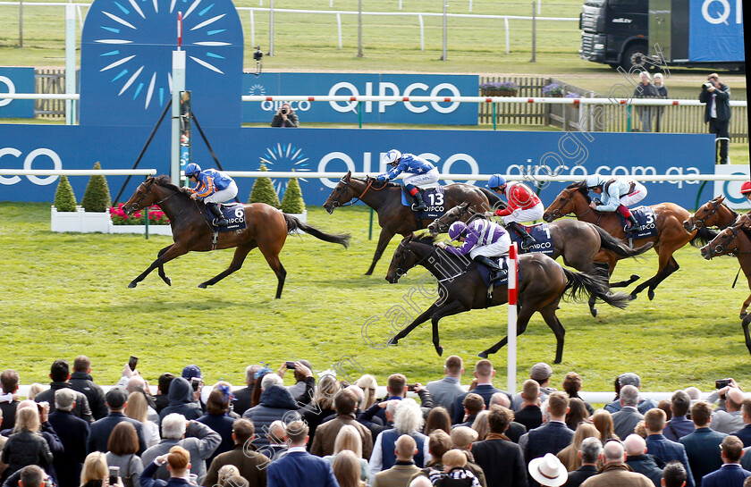 Hermosa-0008 
 HERMOSA (Wayne Lordan) beats LADY KAYA (nearside) in The Qipco 1000 Guineas
Newmarket 5 May 2019 - Pic Steven Cargill / Racingfotos.com