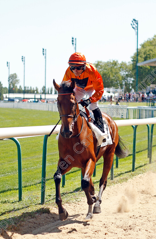 Jeliel-0001 
 JELIEL (R Thomas)
Deauville 6 Aug 2022 - Pic Steven Cargill / Racingfotos.com