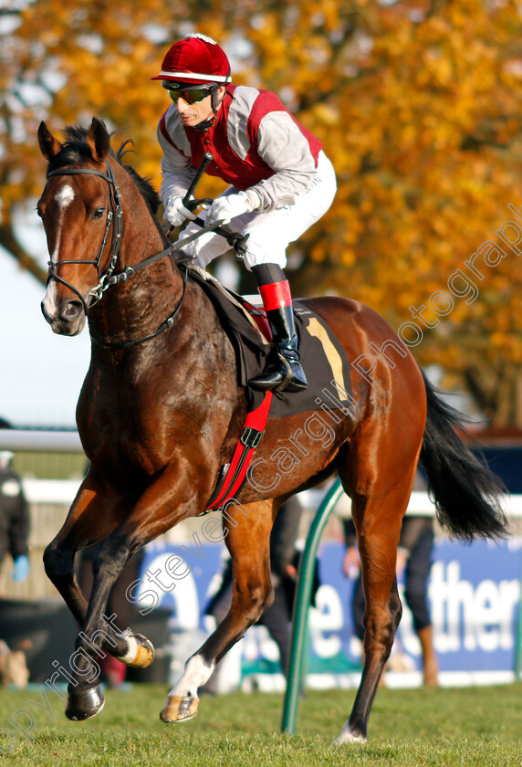 Monty-0001 
 MONTY (Gerald Mosse)
Newmarket 30 Oct 2021 - Pic Steven Cargill / Racingfotos.com