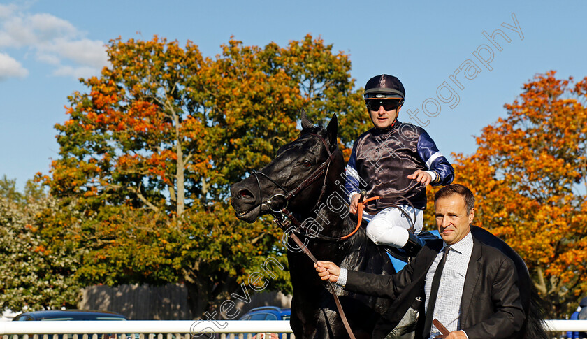 Topgear-0012 
 TOPGEAR (Stephane Pasquier) winner of The Thoroughbred Industry Employee Awards Challenge Stakes
Newmarket 11 Oct 2024 - pic Steven Cargill / Racingfotos.com