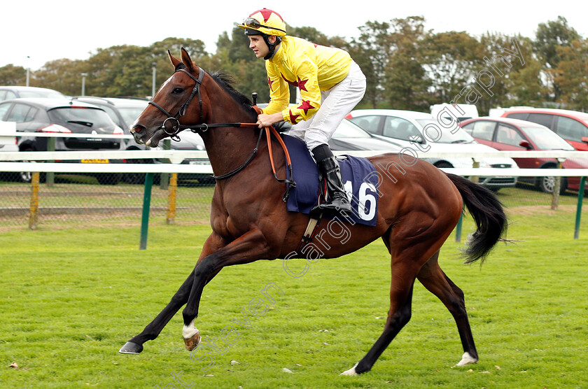 Yes-Can-Do-0001 
 YES CAN DO (Charles Bishop)
Yarmouth 20 Sep 2018 - Pic Steven Cargill / Racingfotos.com