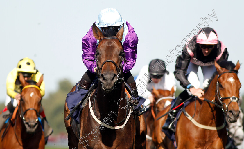 Dash-Of-Spice-0004 
 DASH OF SPICE (Silvestre De Sousa) wins The Duke Of Edinburgh Stakes
Royal Ascot 22 Jun 2018 - Pic Steven Cargill / Racingfotos.com