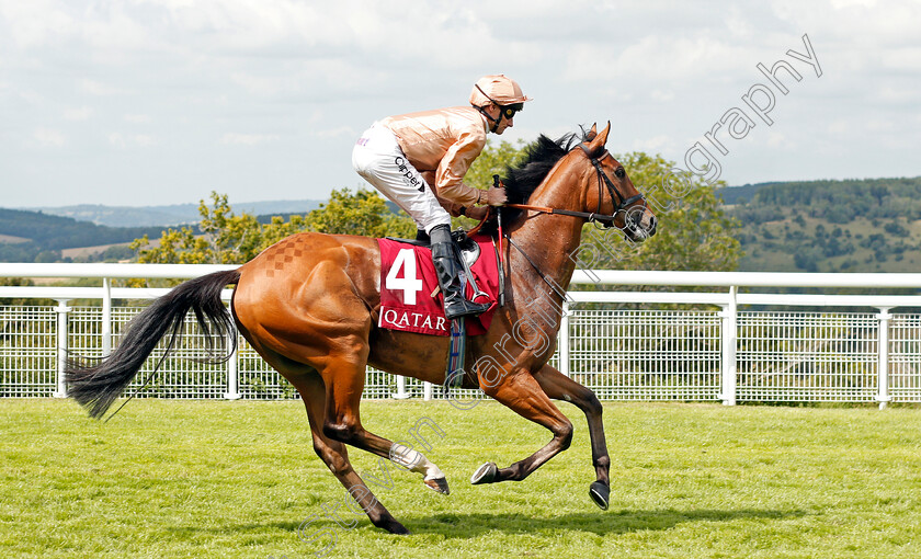 Dal-Horrisgle-0002 
 DAL HORRISGLE (Daniel Tudhope)
Goodwood 1 Aug 2019 - Pic Steven Cargill / Racingfotos.com