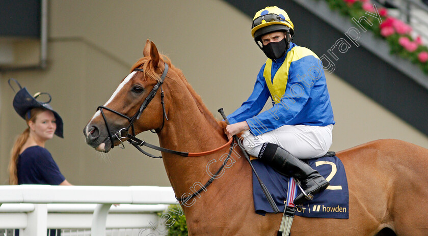 Dream-Of-Dreams-0001 
 DREAM OF DREAMS (Ryan Moore) winner of The Diamond Jubilee Stakes
Royal Ascot 19 Jun 2021 - Pic Steven Cargill / Racingfotos.com