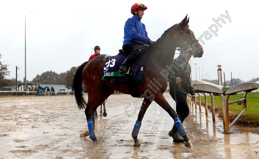 Enable-0003 
 ENABLE (Frankie Dettori) exercising ahead of The Breeders Cup Turf
Churchill Downs USA 1 Nov 2018 - Pic Steven Cargill / Racingfotos.com