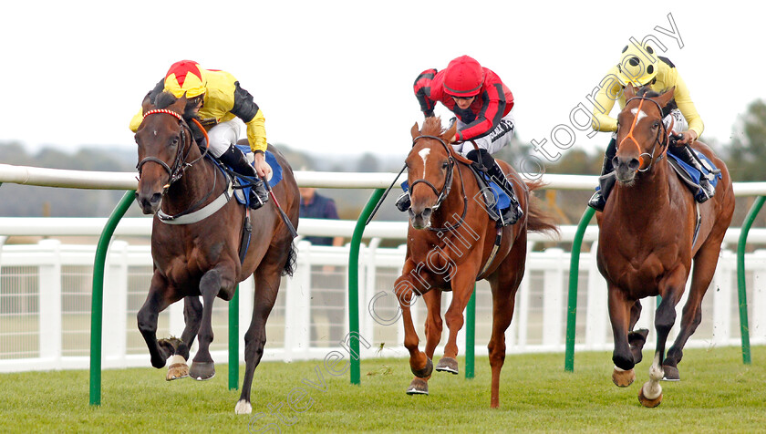 Kenzai-Warrior-0001 
 KENZAI WARRIOR (Jason Watson) beats MAX VEGA (centre) and MAMBO NIGHTS (right) in The Irish Thoroughbred Marketing Novice Stakes
Salisbury 5 Sep 2019 - Pic Steven Cargill / Racingfotos.com