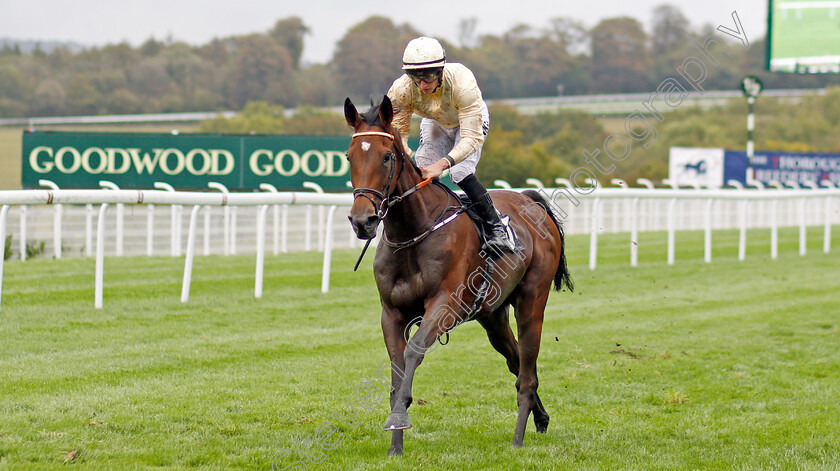 Monica-Sheriff-0004 
 MONICA SHERIFF (Tom Marquand) wins The Thoroughbred Breeders Association Fillies Handicap
Goodwood 25 Sep 2019 - Pic Steven Cargill / Racingfotos.com