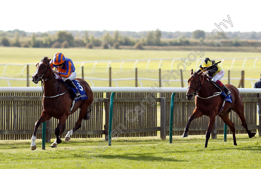 Just-Wonderful-0002 
 JUST WONDERFUL (Ryan Moore) wins The Shadwell Rockfel Stakes
Newmarket 28 Sep 2018 - Pic Steven Cargill / Racingfotos.com