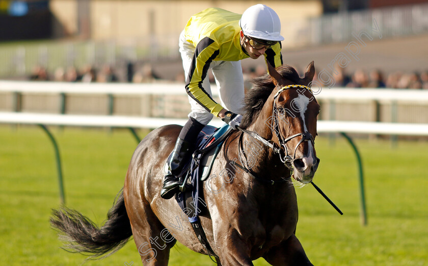 Burdett-Road-0002 
 BURDETT ROAD (Harry Davies) winner of The Al Basti Equiworld Dubai Godolphin Stakes
Newmarket 27 Sep 2024 - Pic Steven Cargill / Racingfotos.com