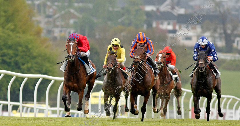 Mekong-0003 
 MEKONG (left, James Doyle) beats BARITONE (centre) in The Check Scoop 6 Results At totepoolliveinfo.com Novice Stakes Leicester 28 Apr 2018 - Pic Steven Cargill / Racingfotos.com