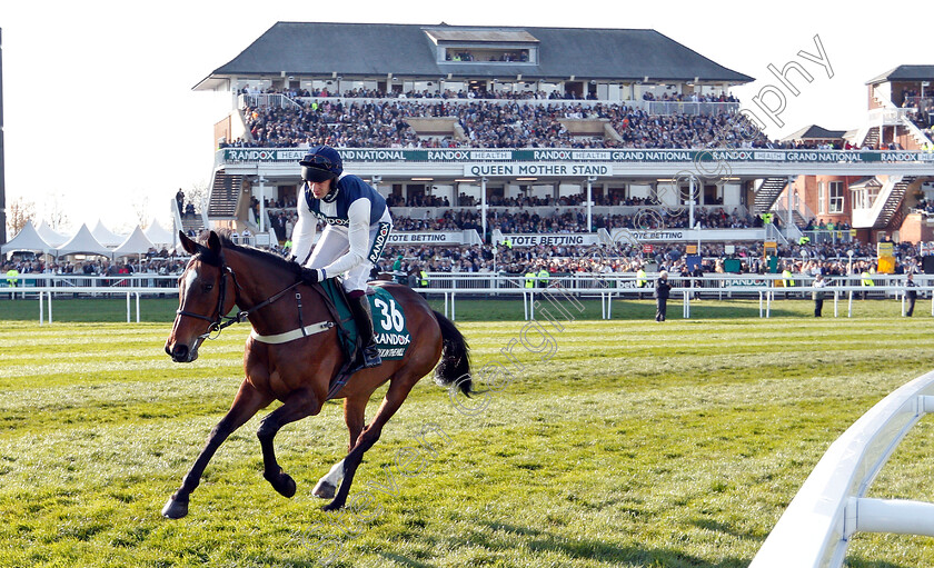 Walk-In-The-Mill-0001 
 WALK IN THE MILL (James Best)
Aintree 6 Apr 2019 - Pic Steven Cargill / Racingfotos.com