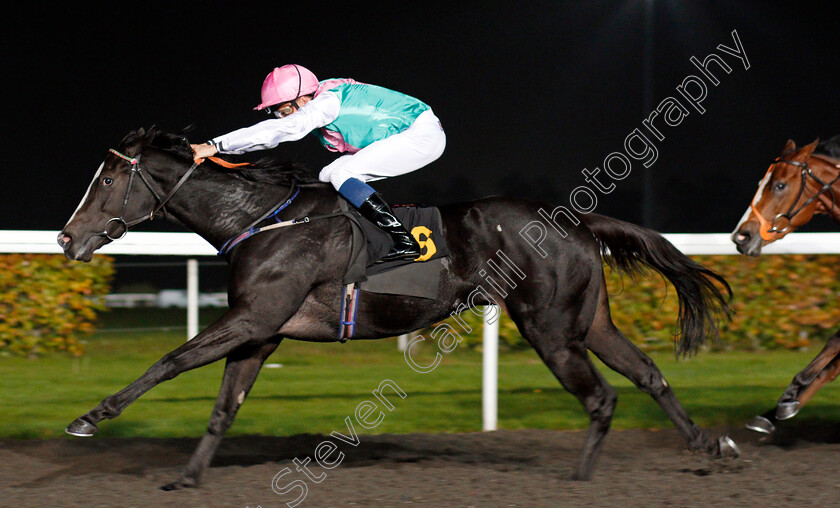 Revalue-0004 
 REVALUE (William Buick) wins The 32Red On The App Store Fillies Novice Stakes Div2 Kempton 18 Oct 2017 - Pic Steven Cargill / Racingfotos.com