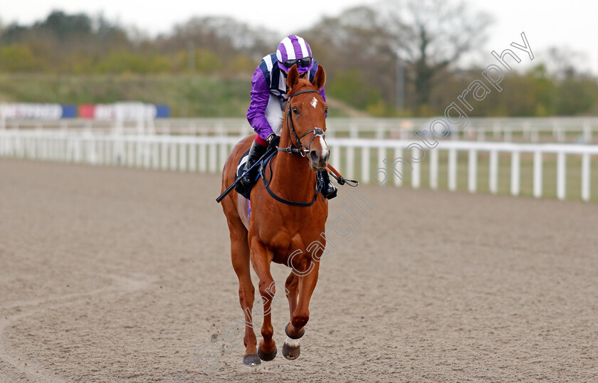 Mishal-Star-0001 
 MISHAL STAR (Oisin Murphy)
Chelmsford 29 Apr 2021 - Pic Steven Cargill / Racingfotos.com