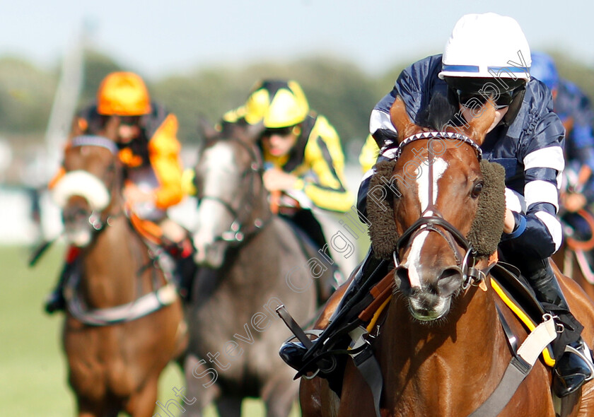 Misu-Pete-0005 
 MISU PETE (Darragh Keenan) wins The Mobile Pimm's Bars Apprentice Handicap
Newbury 17 Aug 2018 - Pic Steven Cargill / Racingfotos.com