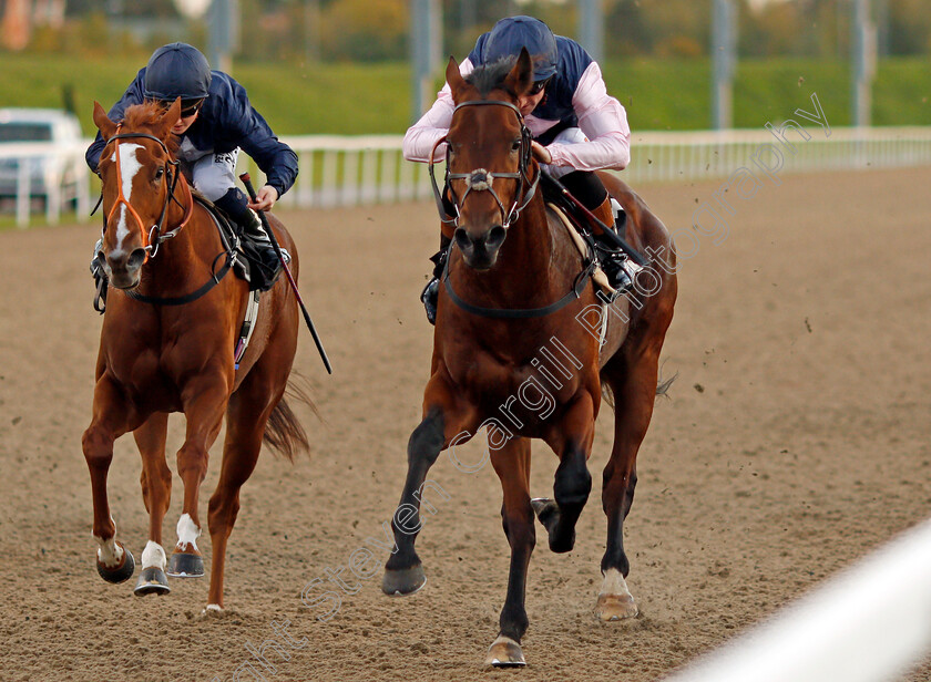 Montague-0007 
 MONTAGUE (right, Dougie Costello) beats FUSION CENTRAL (left) in The Bet toteplacepot At betfred.com Claiming Stakes Chelmsford 12 Oct 2017 - Pic Steven Cargill / Racingfotos.com