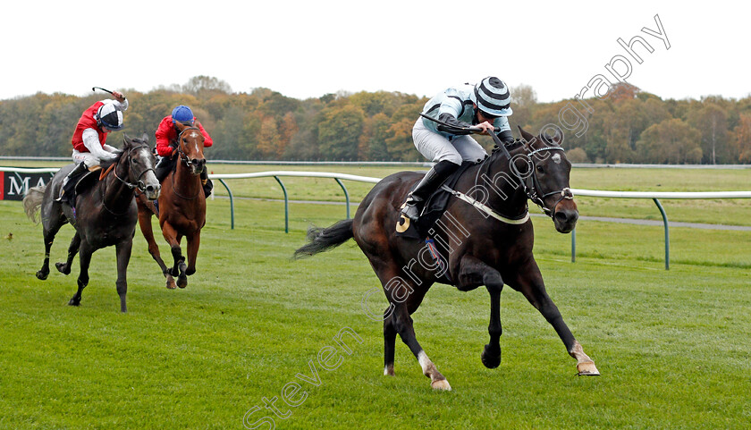 Mustarrid-0002 
 MUSTARRID (Paul Hanagan) wins The Covered By Mansionbets Beaten By A Head Handicap
Nottingham 28 Oct 2020 - Pic Steven Cargill / Racingfotos.com